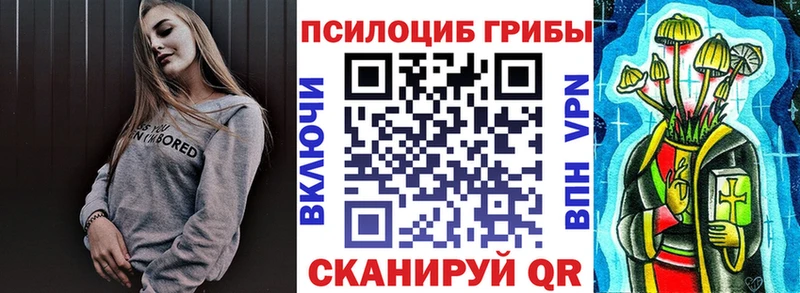 как найти наркотики  Жуковка  Галлюциногенные грибы Psilocybine cubensis 